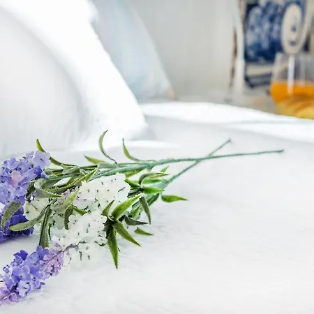 Coeur De Fern * 리스본